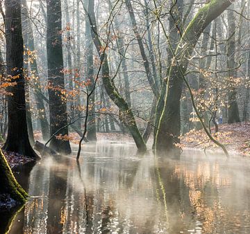 Brume matinale sur la rivière forestière sur Peter Haastrecht, van