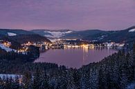 Winter at the Titisee in the Black Forest by Werner Dieterich thumbnail