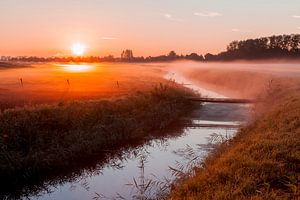 Morning mist over Dutch polder sur Marc Vermeulen