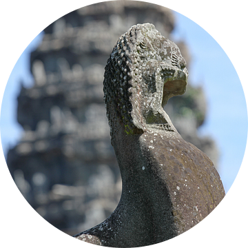 Details in Angkor Wat Temple van Levent Weber