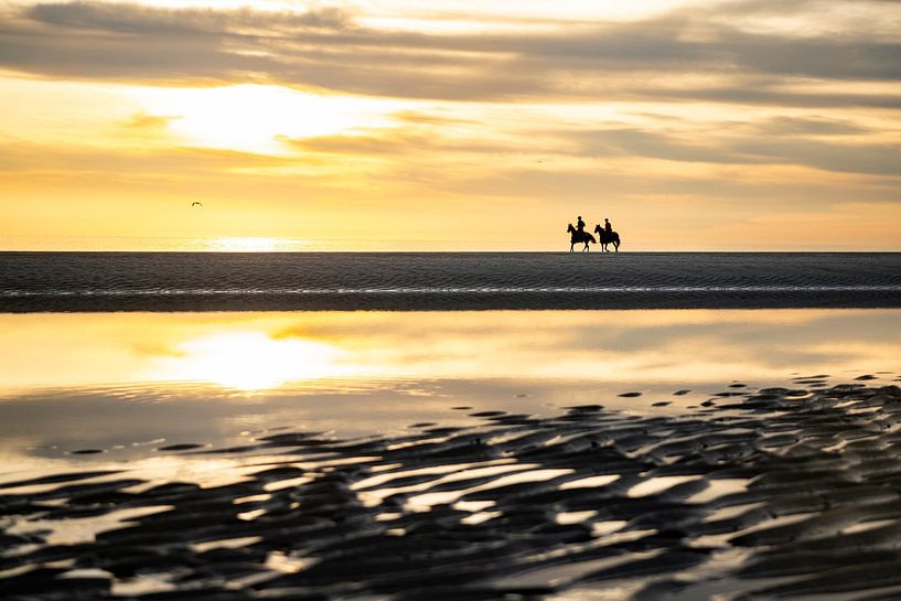 Horseback riding on the coast of Zeeland by Paula Romein