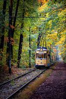 Tram in the autumn forest