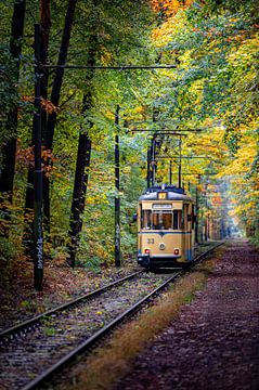Tram in het herfstbos van Karsten Rahn