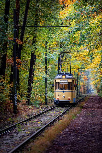 Tram in the autumn forest by Karsten Rahn