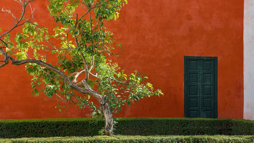 Rode muur met boom, Sevilla (Spanje) van Nick Hartemink