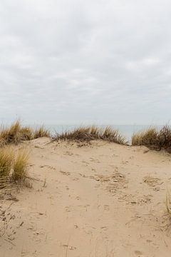 Duin met uitzicht over zee van Evelien van Rijn