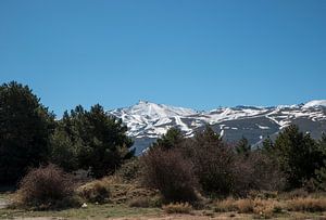 sneeuw op de bergtoppen van de sierra nevada