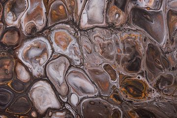 Abstract: Vloeibare bruin tinten van Marjolijn van den Berg