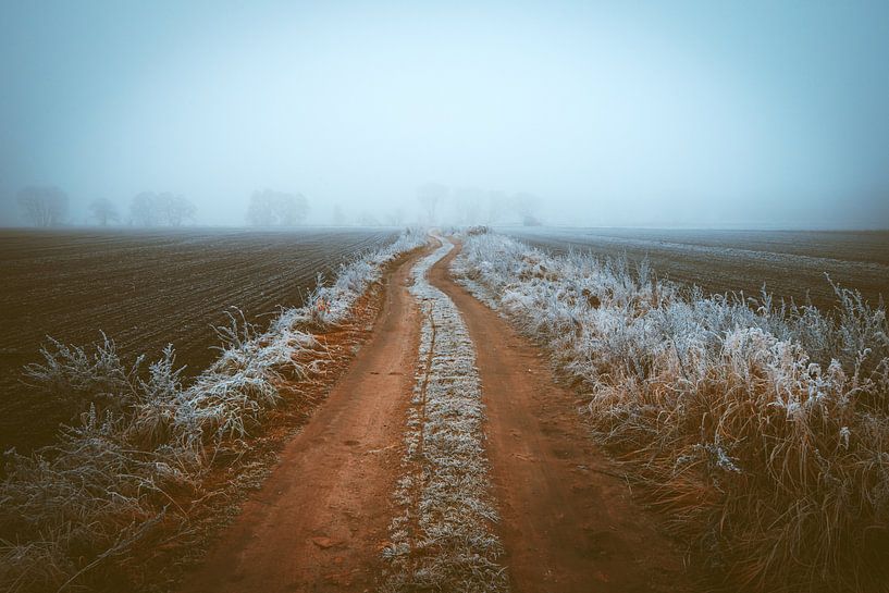 Lonely dirt road by Skyze Photography by André Stein