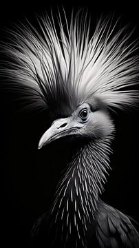 Bird portrait in black and white minimalist wildlife art