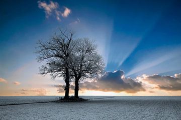 Zonsopkomst bij een winters landschap. van Gert Hilbink