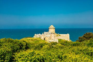 En route vers le point culminant du paysage, le Cap Fréhel, en Bretagne - Fort la Latte - France sur Oliver Hlavaty