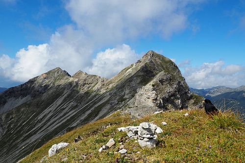 Het natuurpark Ammergauer Alpen is een van de mooiste landschappen in Beieren. Het combineert ongerepte natuur, afwisselende berglandschappen en traditionele alpenweiden.