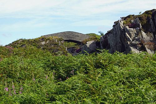 Landschap bij Mallaig