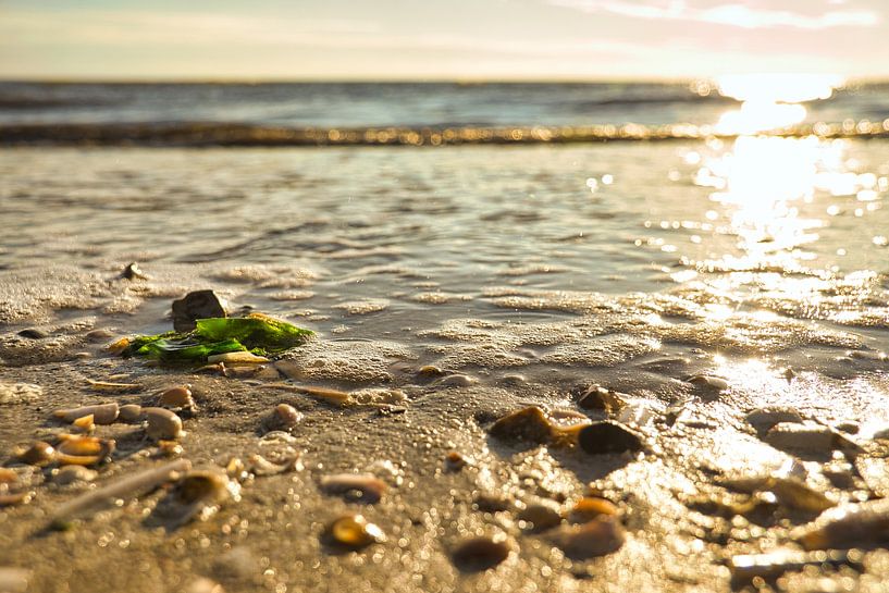 Sur la plage de Blåvand, au bord de la mer, sous le soleil par Martin Köbsch