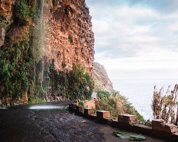 Anjos Waterfall on Madeira Island. by Roman Robroek