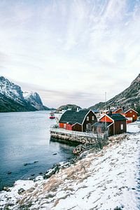 Norwegische Häuser in einem Fjord auf der Insel Vesteralen von Sjoerd van der Wal Fotografie