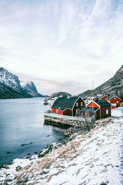 Maisons norvégiennes dans un fjord sur l'île de Vesteralen par Sjoerd van der Wal Photographie