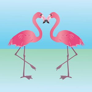 Zwei rosa Flamingos