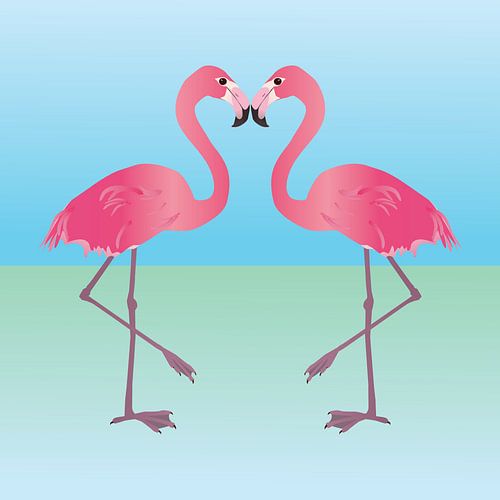 Twee roze flamingo's