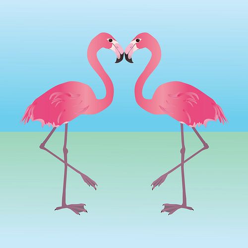 Twee roze flamingo's