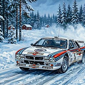 Rally 037 von DeVerviersBelgium