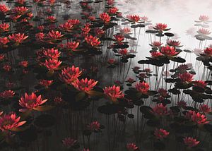 Waterlelies in een vijver van Jan Keteleer
