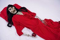 Letzter Apfel Skelett mit rotem Kleid und roten Apfel von Babetts Bildergalerie Miniaturansicht