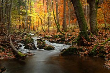 Op de weg in het Harz gebergte van Heiko Lehmann