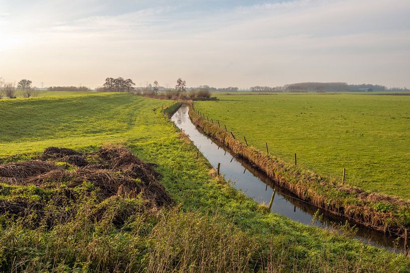 Nederlands polderlandschap met een dijk en een sloot van Ruud Morijn
