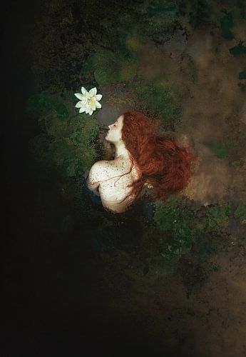 De vijver van Christina Parmak-Fischer