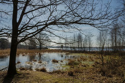 Zonnige winterdag aan het water