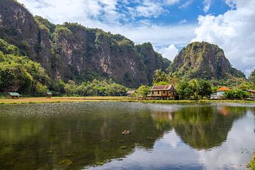 Haus im Dschungel von Indonesien. von Floyd Angenent