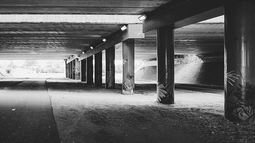 Sous un pont par Reurings aan de Muur