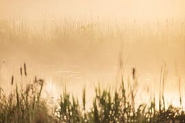 Sunrise Drenthe (Netherlands) by Marcel Kerdijk