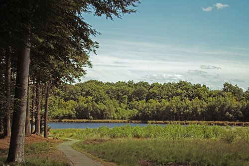 Slotplaats Bakkeveen