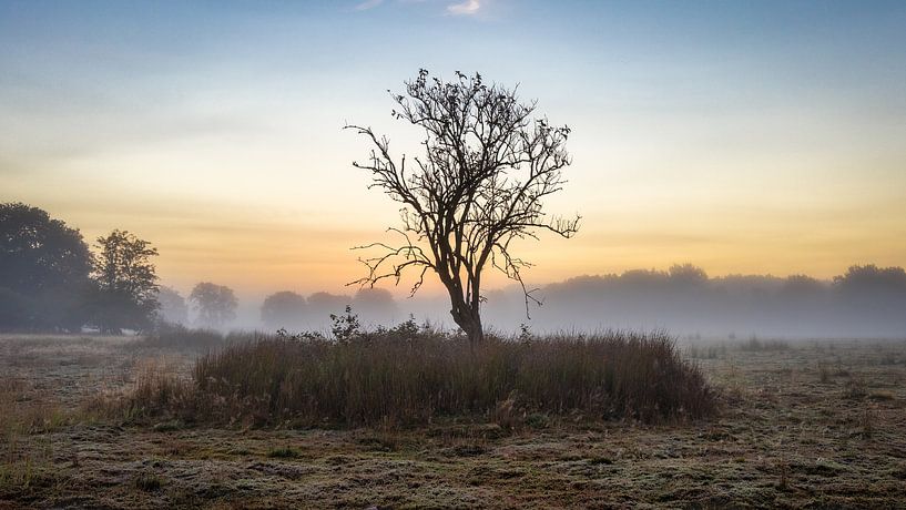 Kloosterveld im Nebel von Anneke Hooijer
