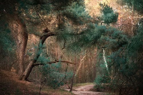 Tegengestelde kleuren