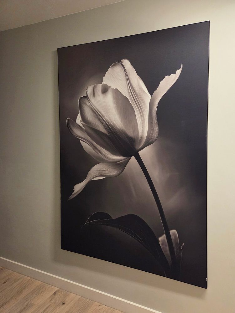 Flower in black and white  by Poster Art Shop 
