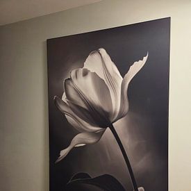 Klantfoto: Bloem in zwart-wit van Poster Art Shop, als ArtFrame