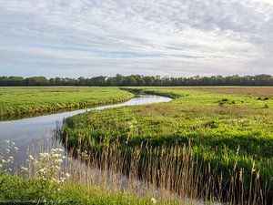 Landschap met riviertje in Heiloo nabij Alkmaar van Ronald Smits