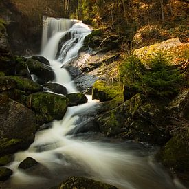 Wasserfall Triberg im Schwarzwald von Max Nicolai