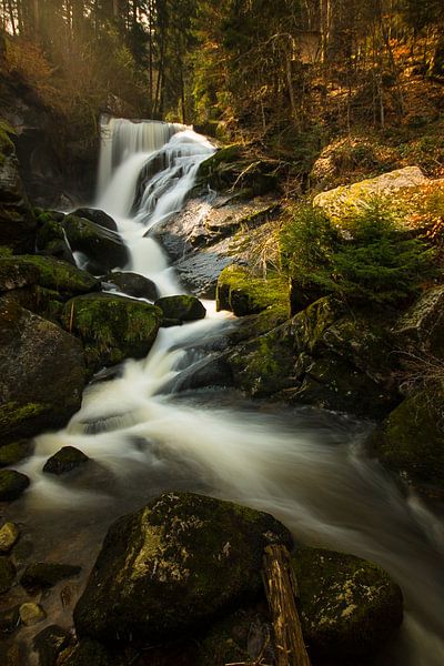 Wasserfall Triberg im Schwarzwald von Max Nicolai