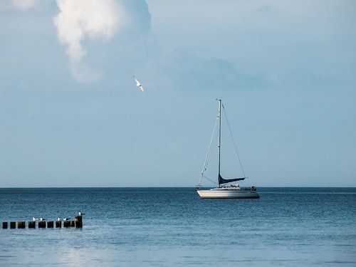 Anchored sailing boat