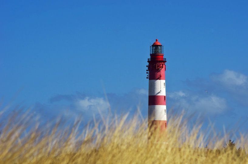 Der Leuchtturm  von AD DESIGN Photo & PhotoArt