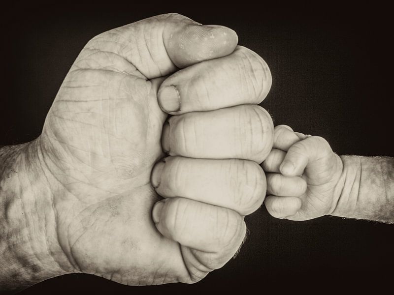 Father &amp; Son by Harrie van der Meer