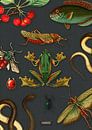Tropical blackboard with reptiles and insects by Studio POPPY thumbnail