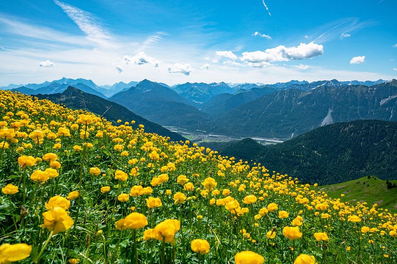 Prairie de trolls au-dessus des montagnes de Tannheim par Leo Schindzielorz