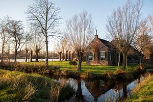 De schenen friesland van anne droogsma