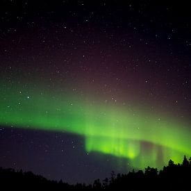 Northern Lights by Ferry D